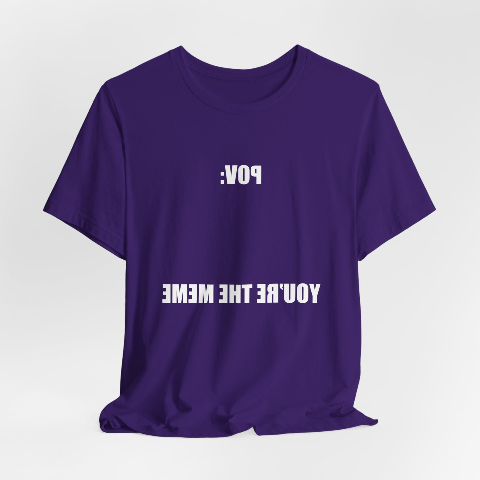 Reversed Text You Are The Meme POV Graphic Top - Image 28