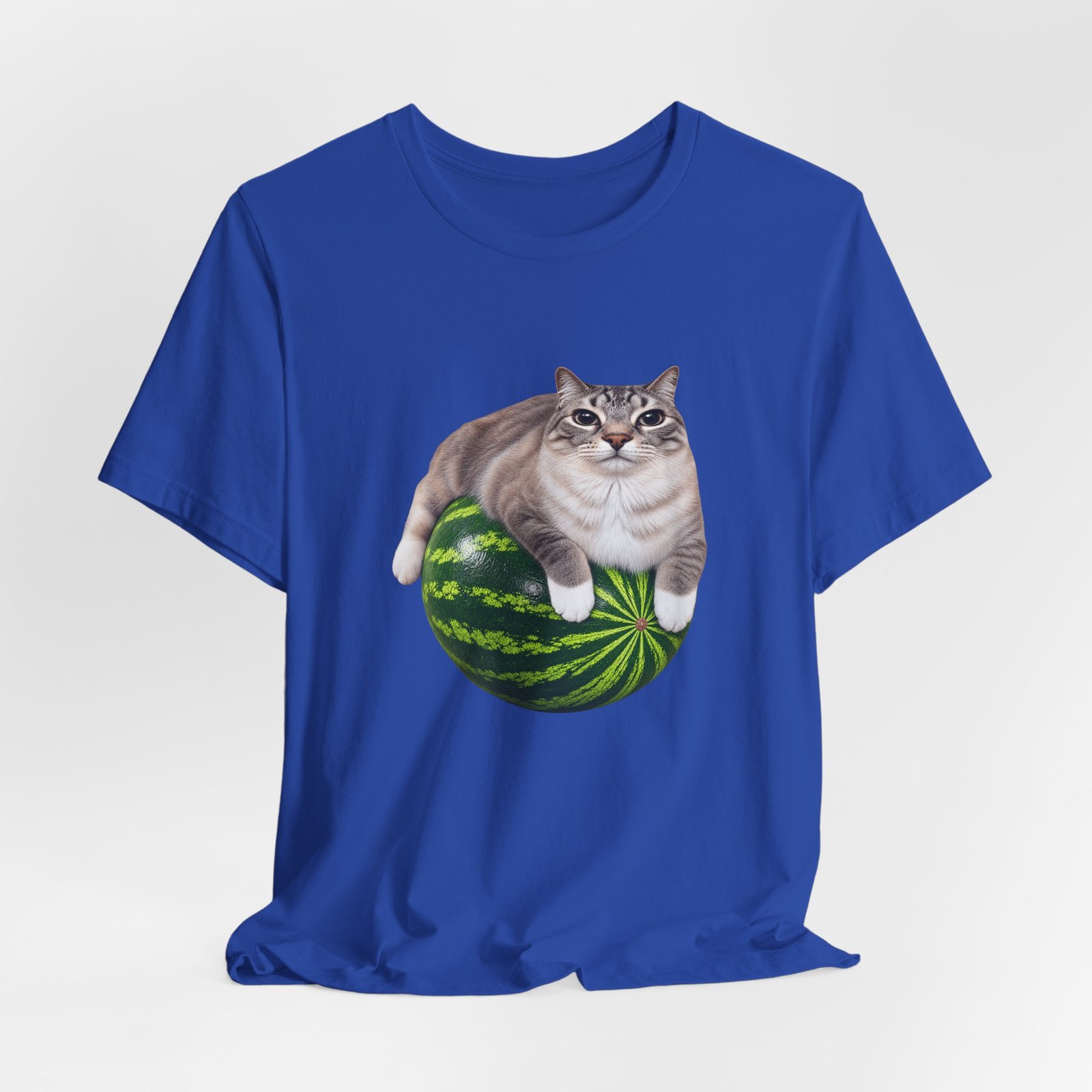 Cat On Watermelon Meme Graphic Tee - Image 20