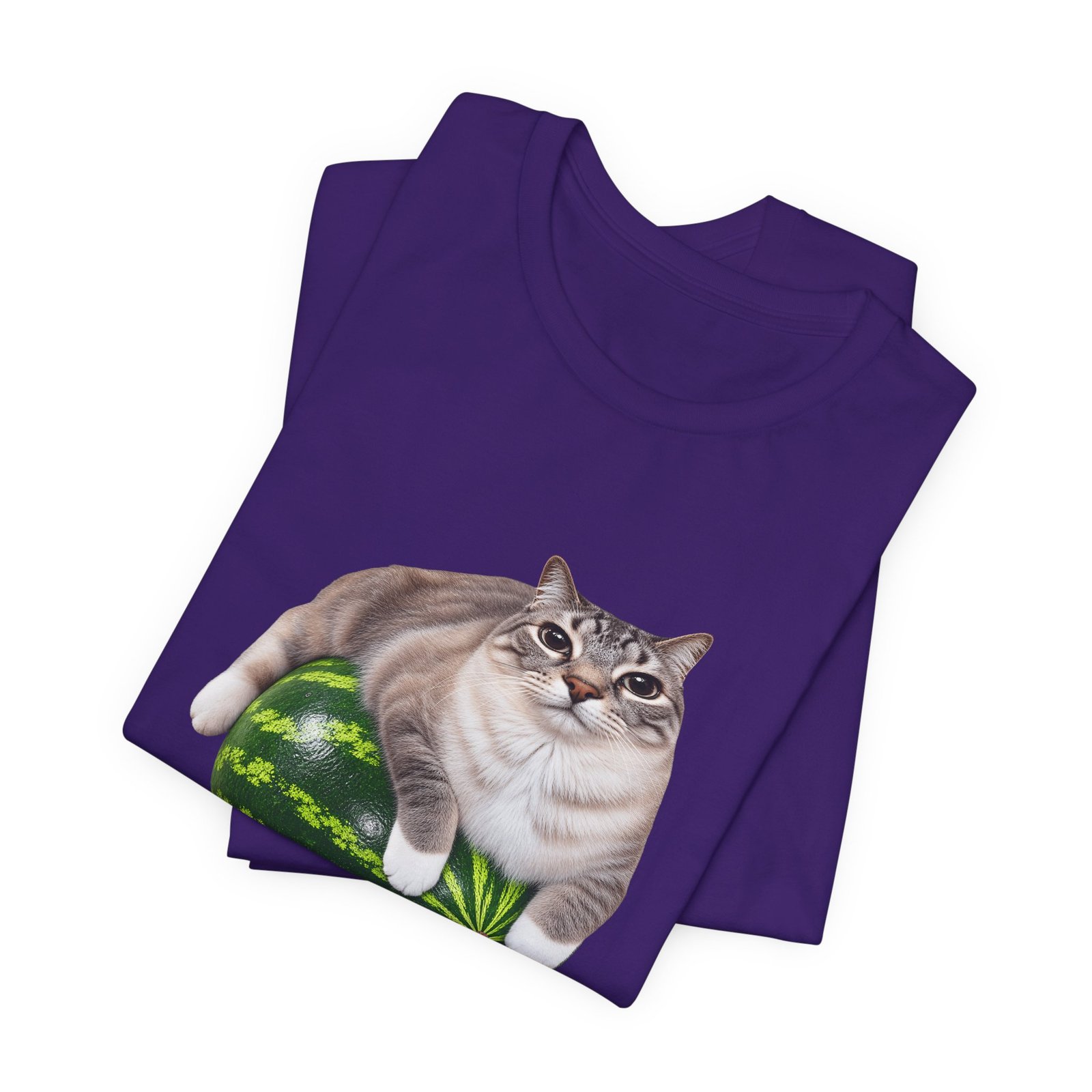 Cat On Watermelon Meme Graphic Tee - Image 27
