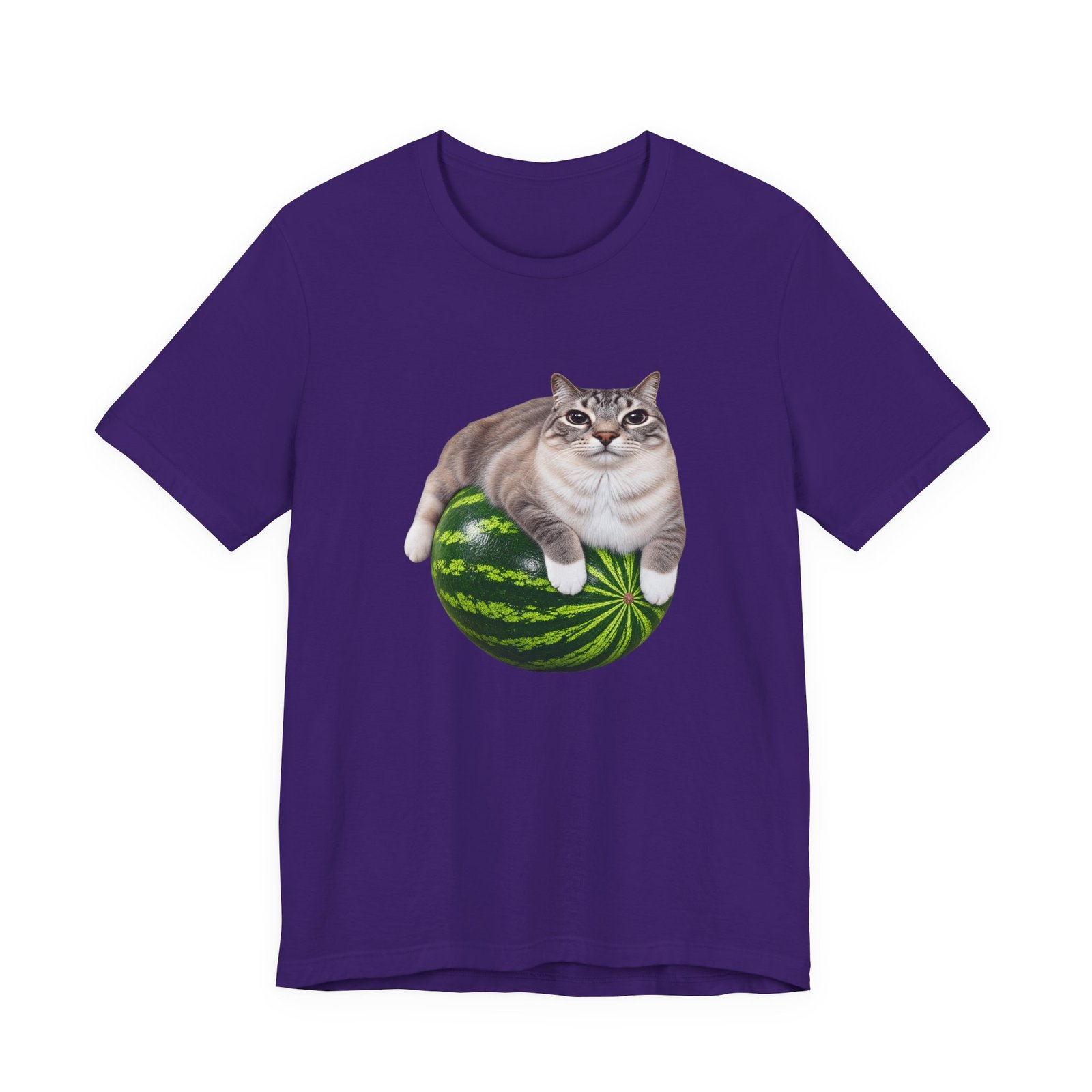 Cat On Watermelon Meme Graphic Tee - Image 25