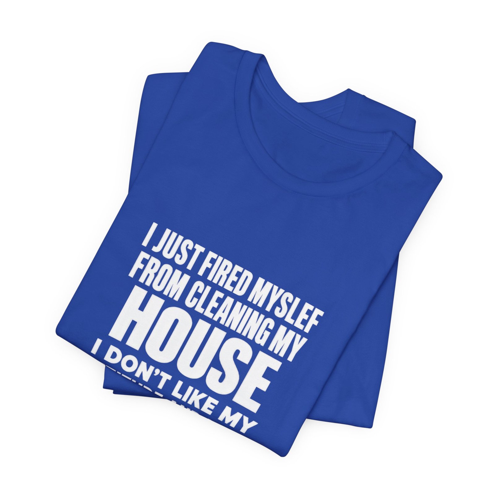 I Just Fired Myself From Cleaning My House - Image 19