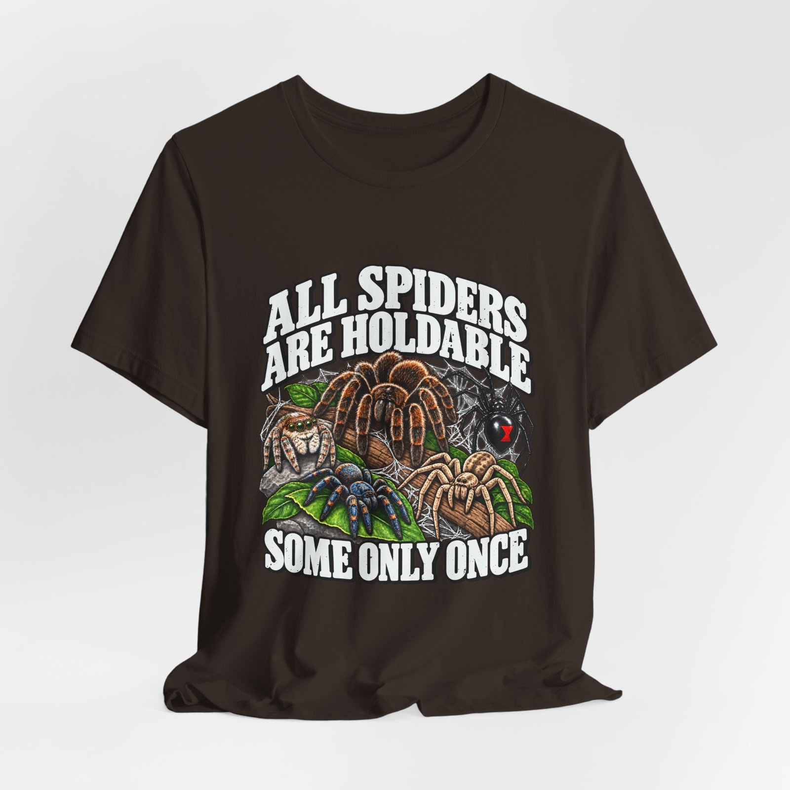 All Spiders Are Holdable Some Only Once Arachnid Humor - Image 4
