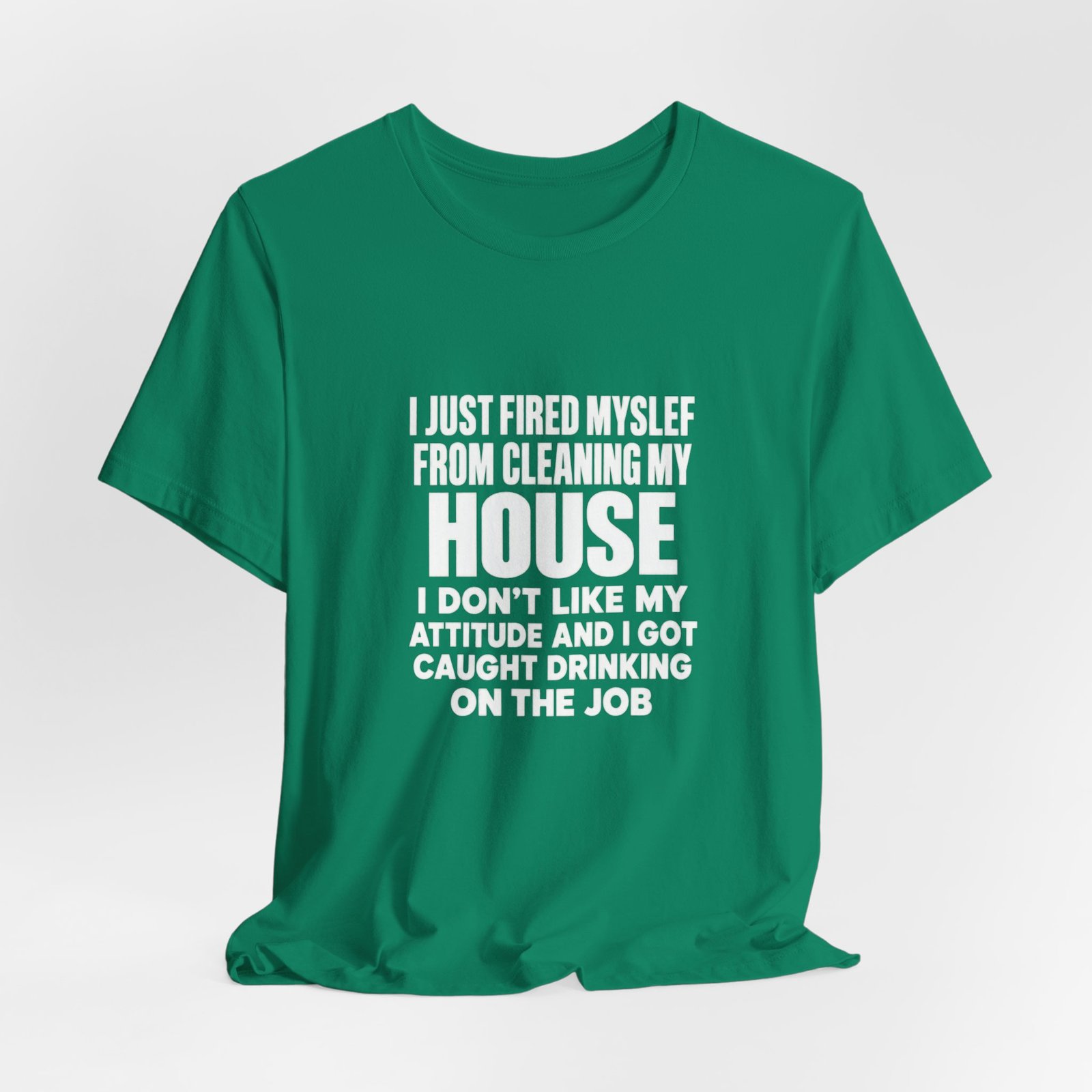 I Just Fired Myself From Cleaning My House - Image 16