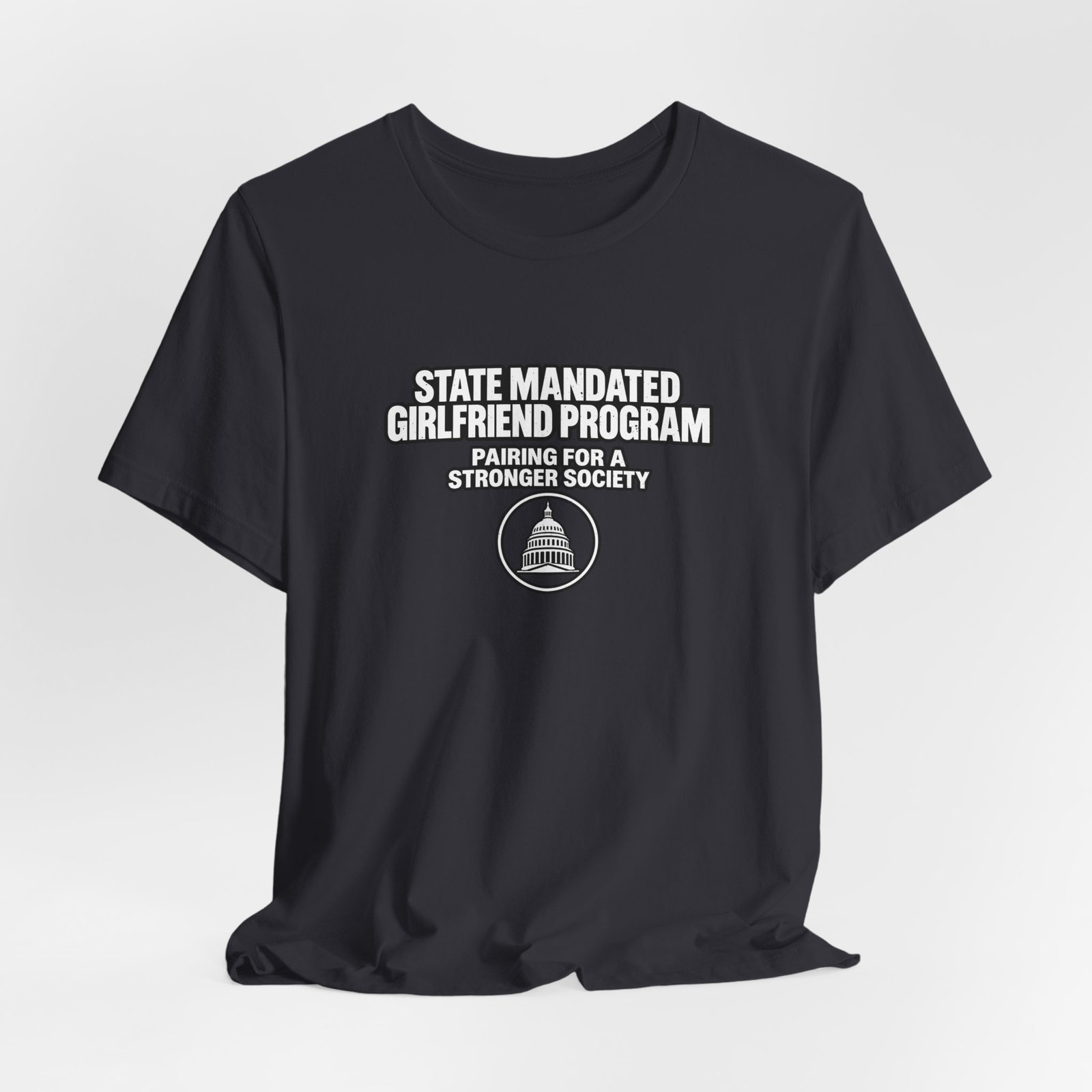 State Mandated Girlfriend Program Meme Graphic Tee - Image 12