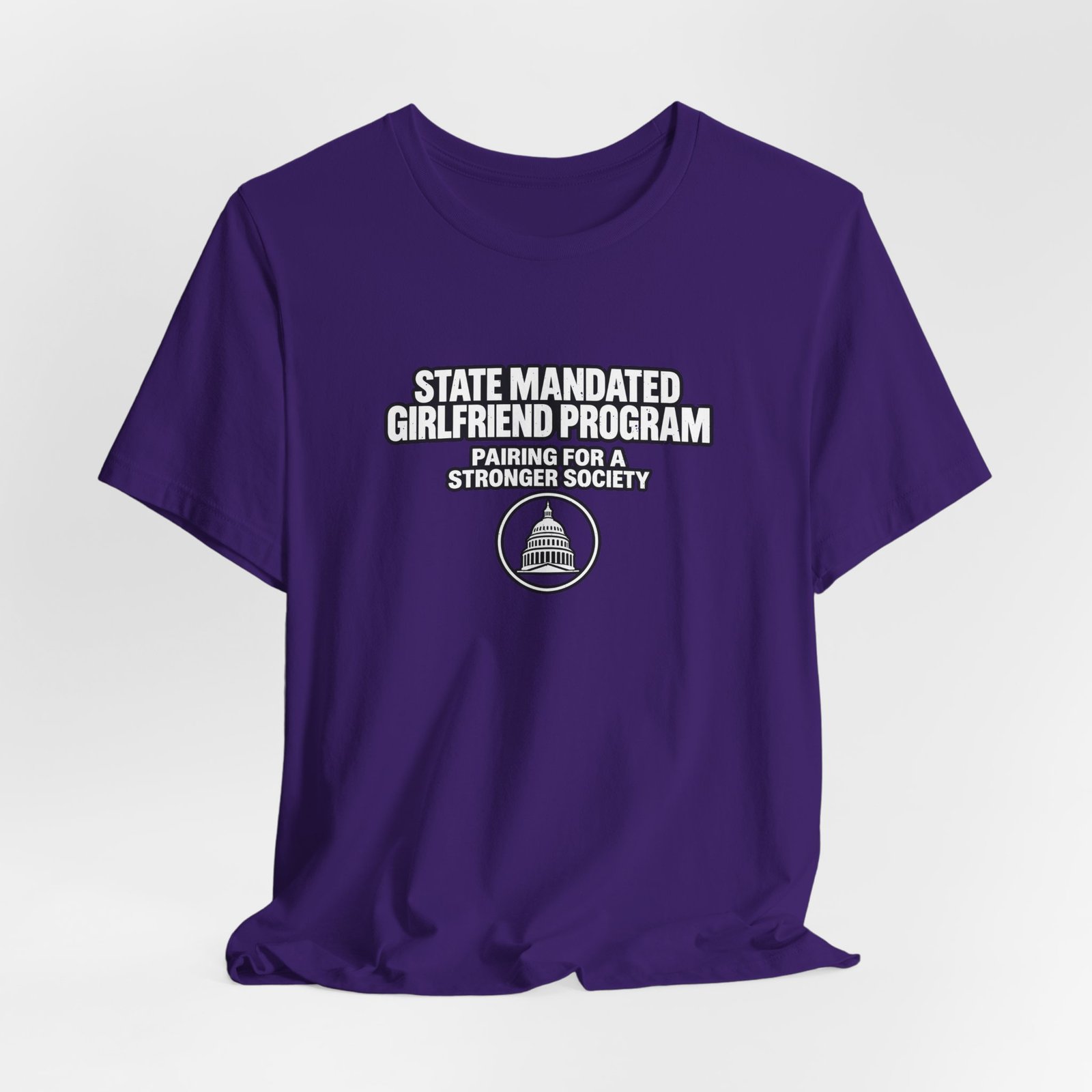 State Mandated Girlfriend Program Meme Graphic Tee - Image 28