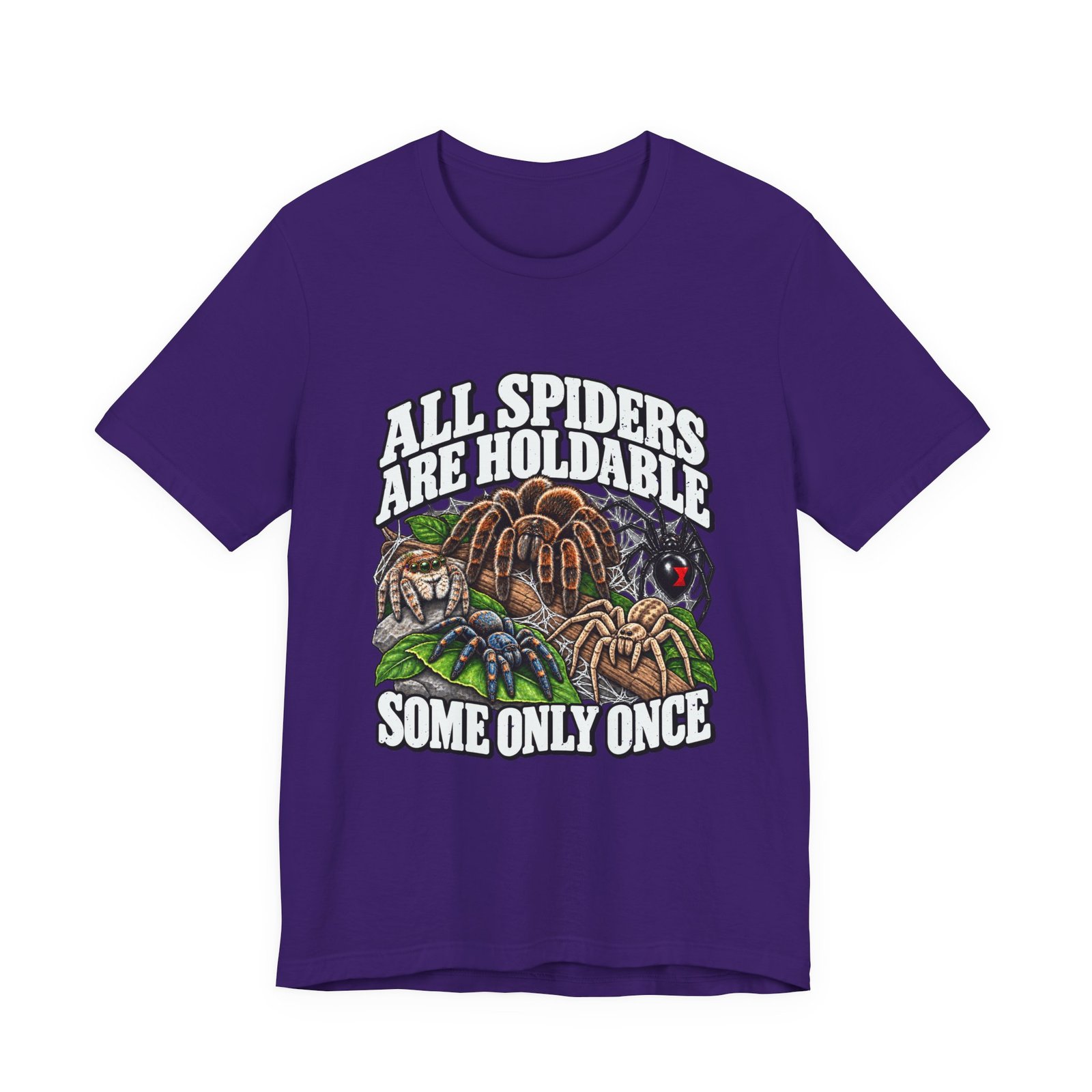 All Spiders Are Holdable Some Only Once Arachnid Humor - Image 25