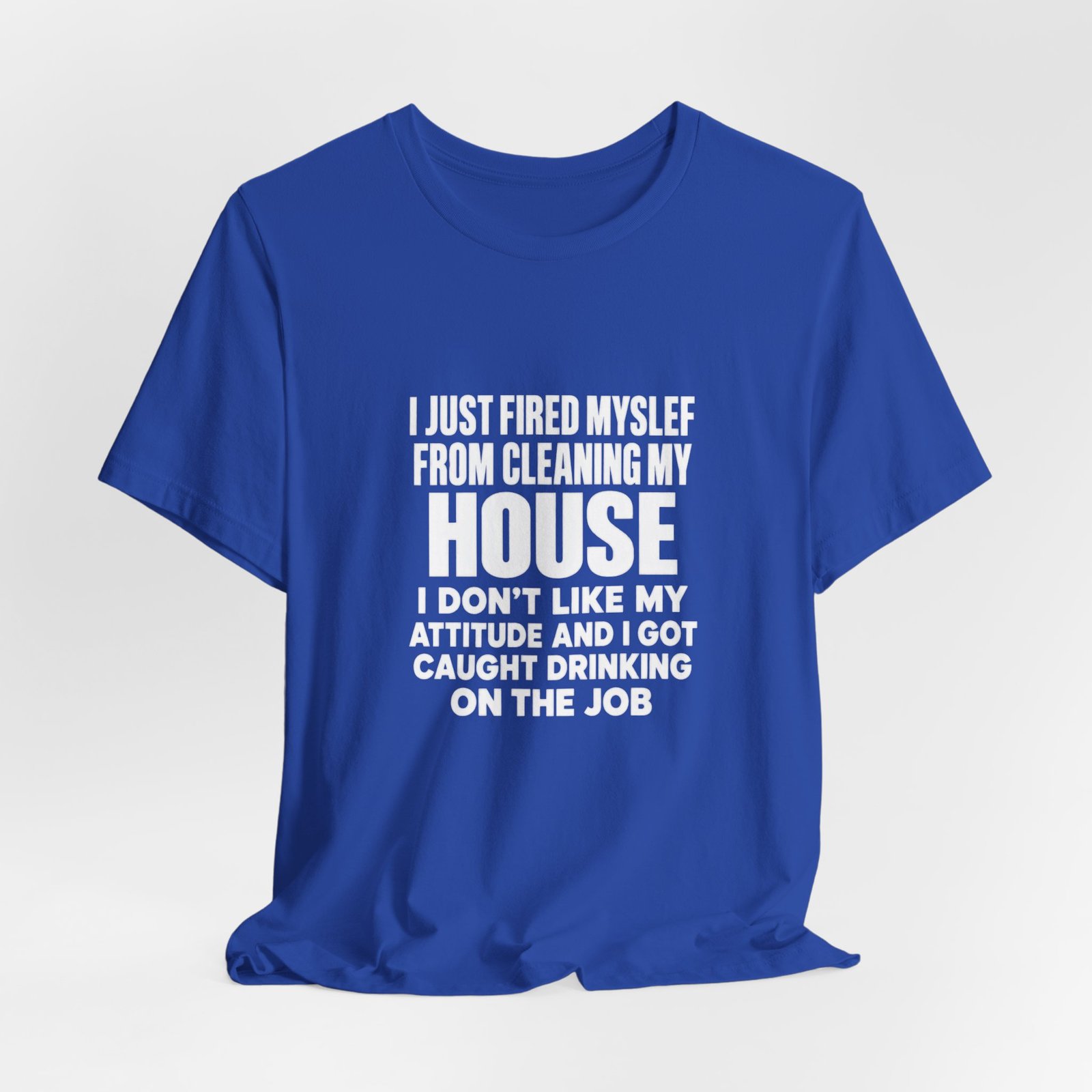 I Just Fired Myself From Cleaning My House - Image 20