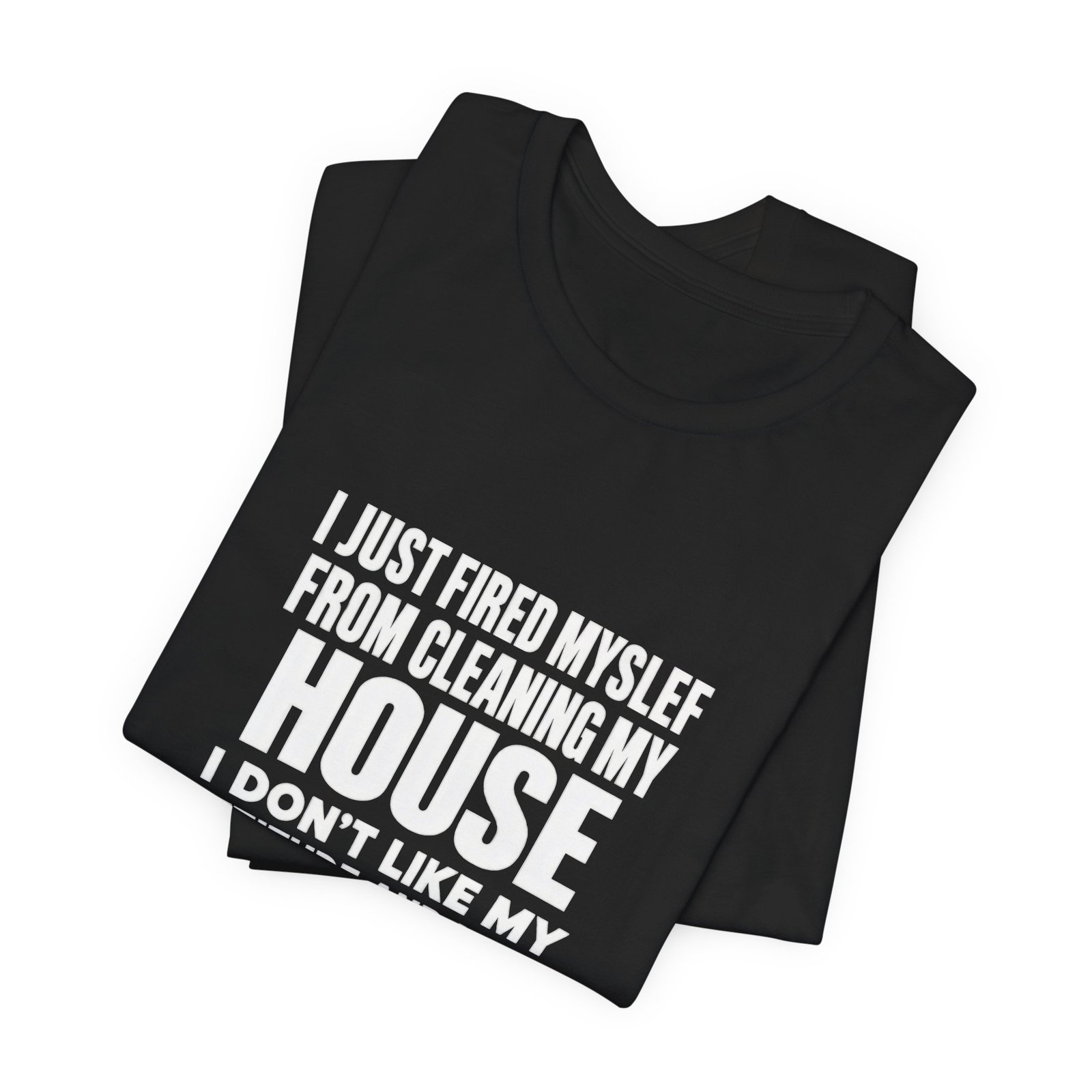 I Just Fired Myself From Cleaning My House - Image 7