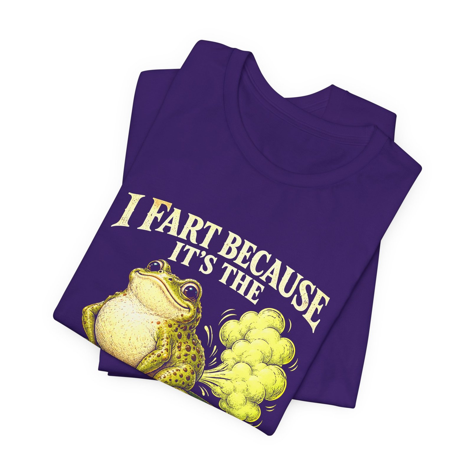 I Fart Because It's The Only Gas I Afford Graphic Tee - Image 27
