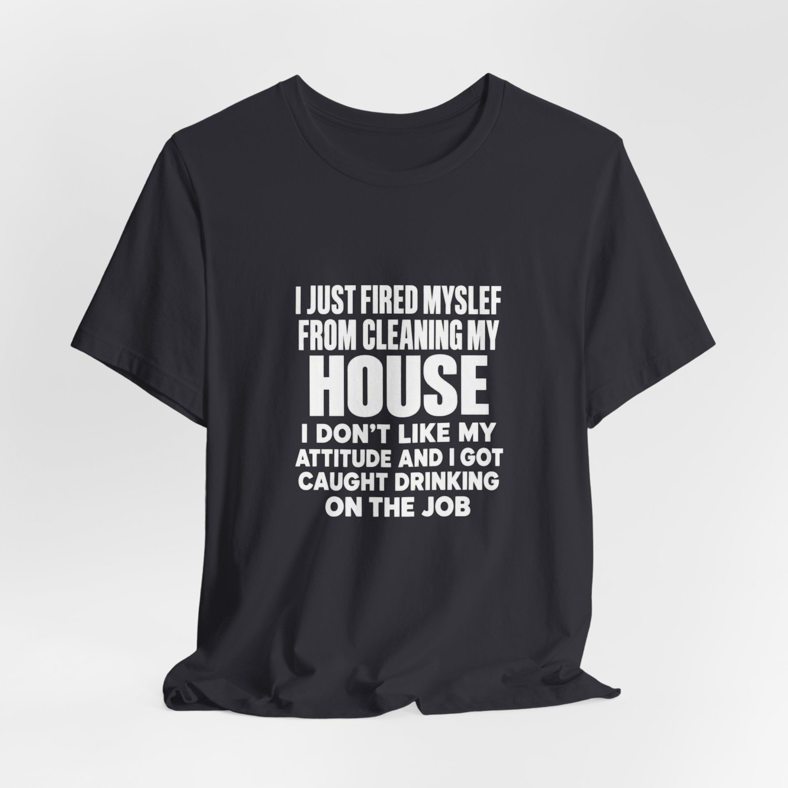 I Just Fired Myself From Cleaning My House - Image 12