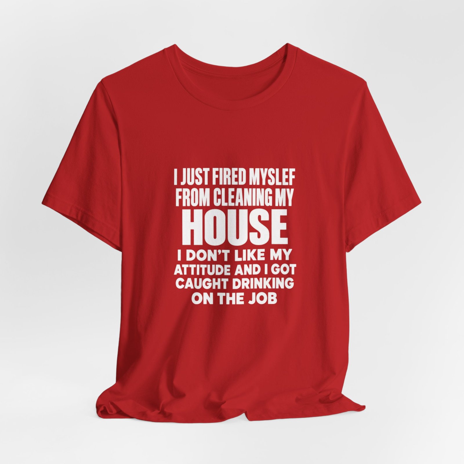 I Just Fired Myself From Cleaning My House - Image 32