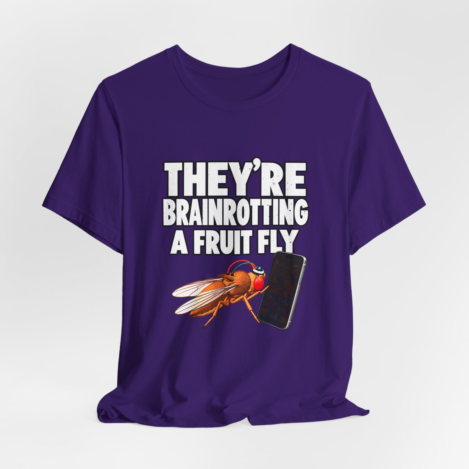 They're Brainrotting A Fruit Fly - Image 28