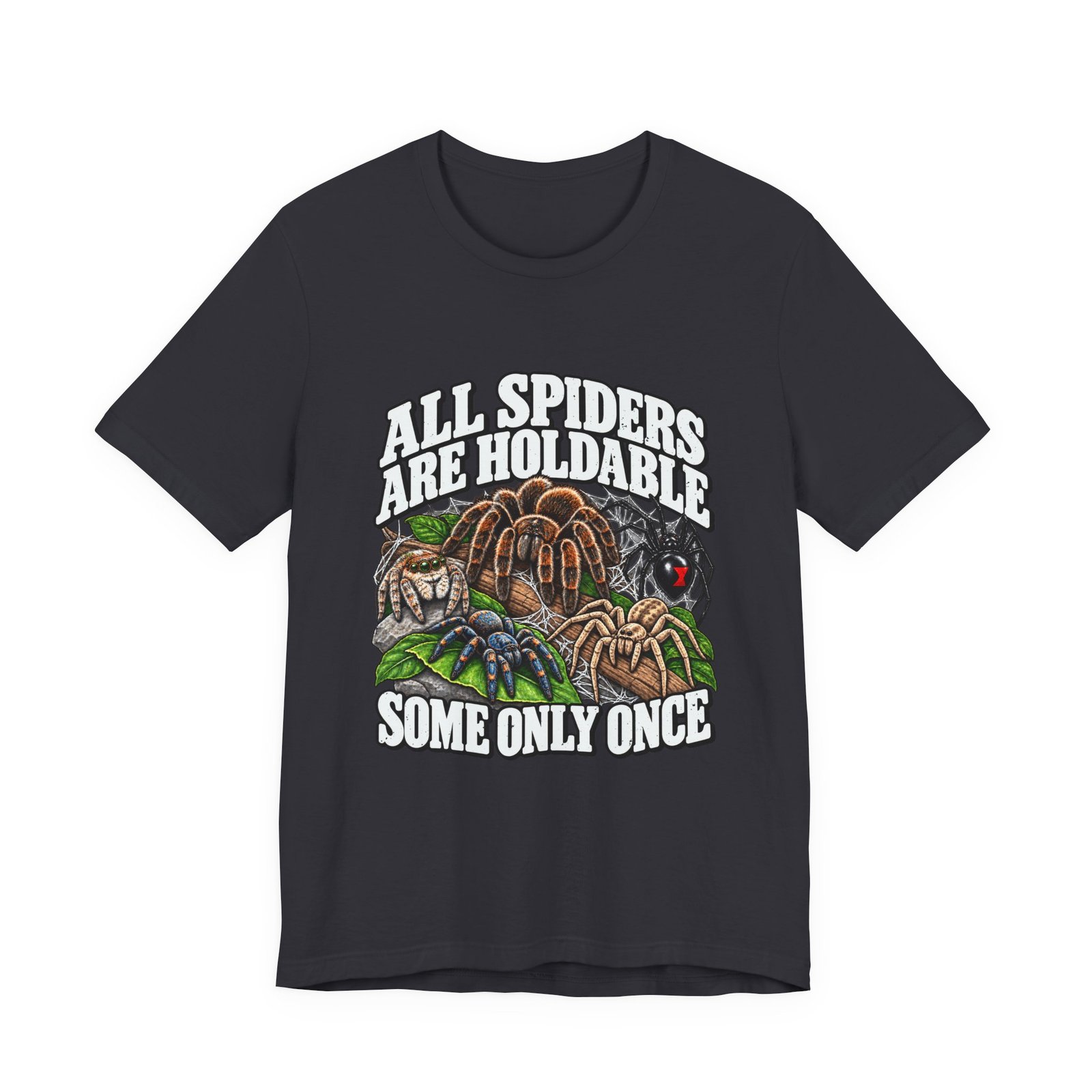 All Spiders Are Holdable Some Only Once Arachnid Humor - Image 9