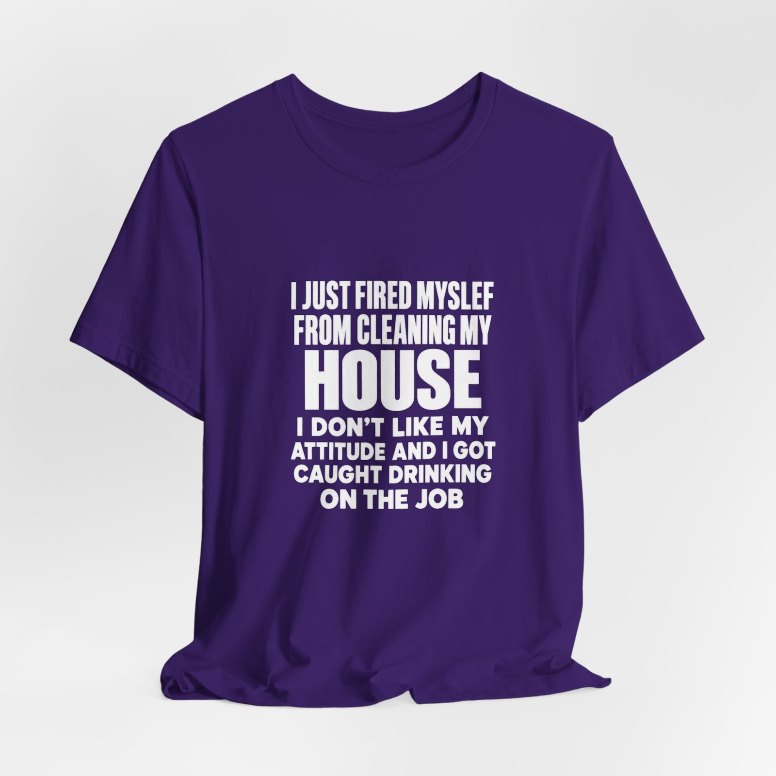 I Just Fired Myself From Cleaning My House - Image 28