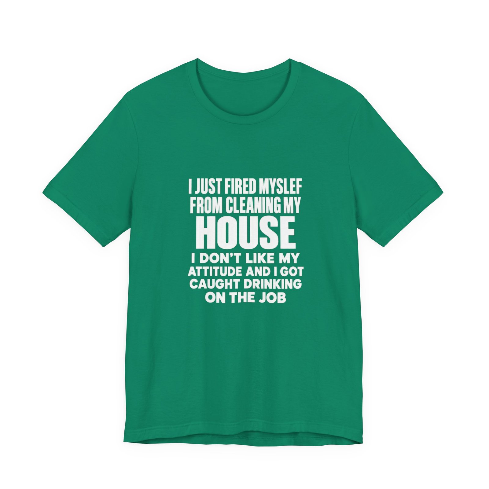 I Just Fired Myself From Cleaning My House - Image 13