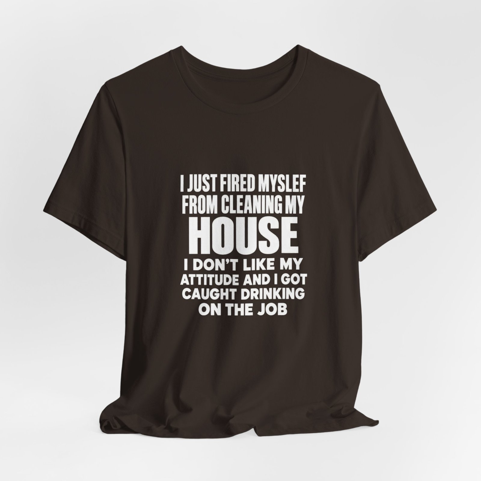 I Just Fired Myself From Cleaning My House - Image 4