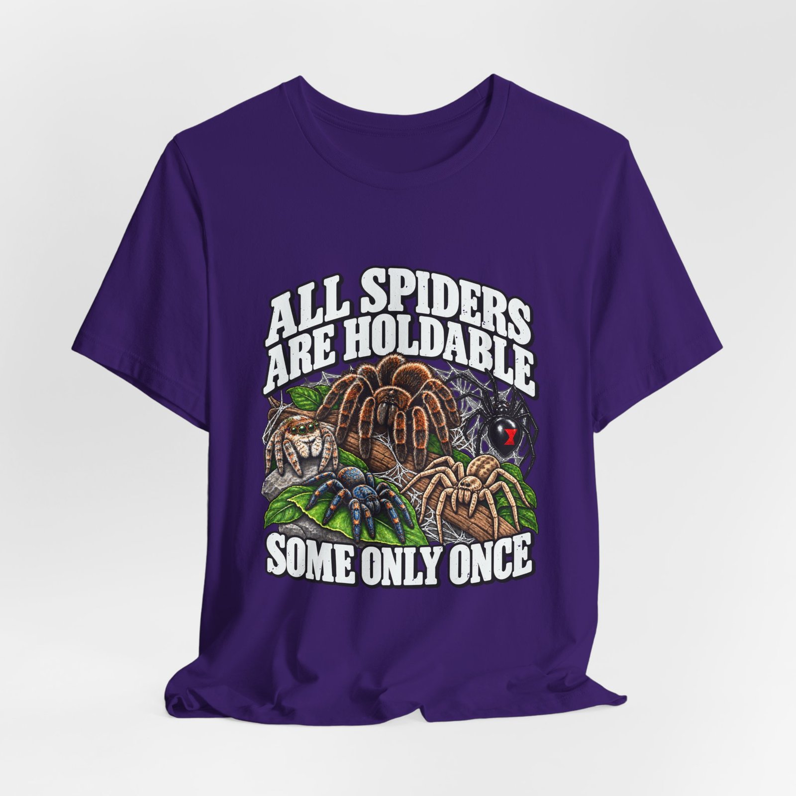 All Spiders Are Holdable Some Only Once Arachnid Humor - Image 28