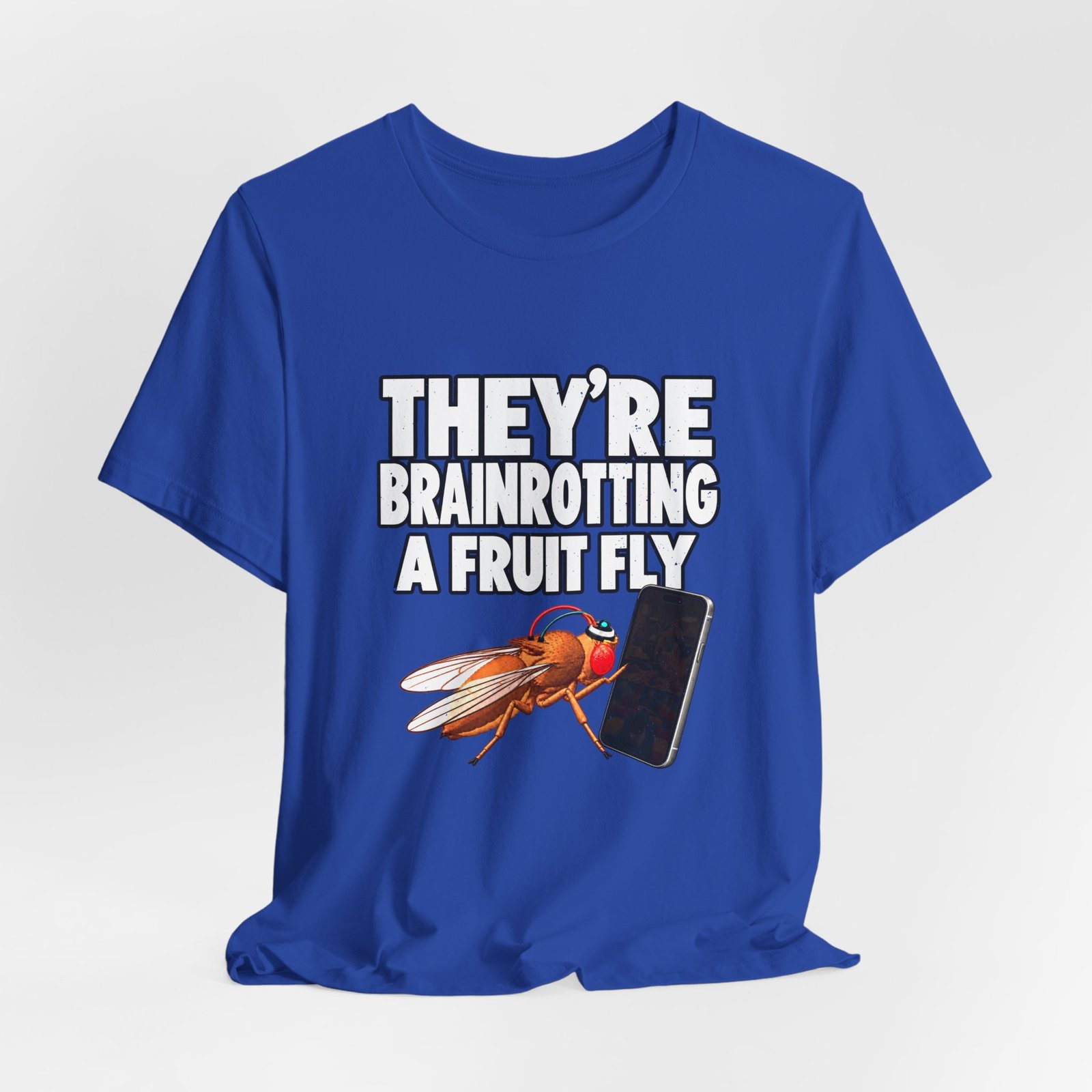They're Brainrotting A Fruit Fly - Image 20
