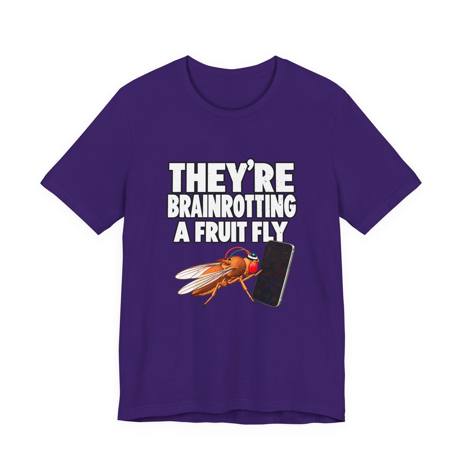 They're Brainrotting A Fruit Fly - Image 25