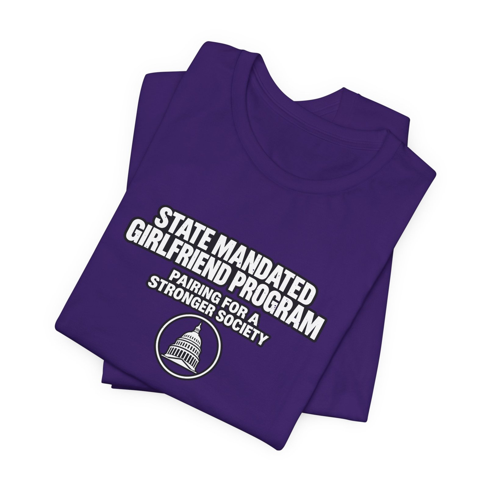 State Mandated Girlfriend Program Meme Graphic Tee - Image 27