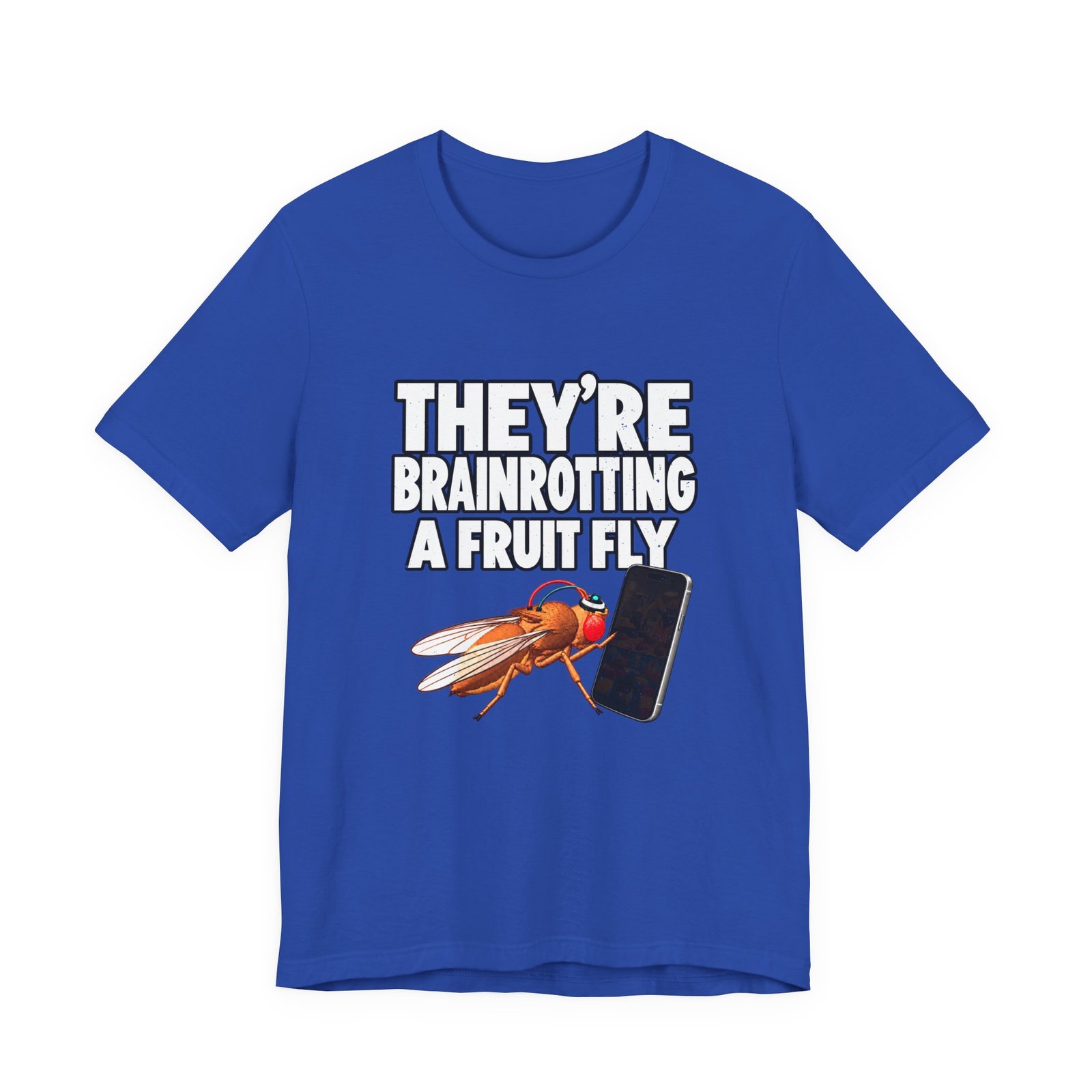 They're Brainrotting A Fruit Fly - Image 17
