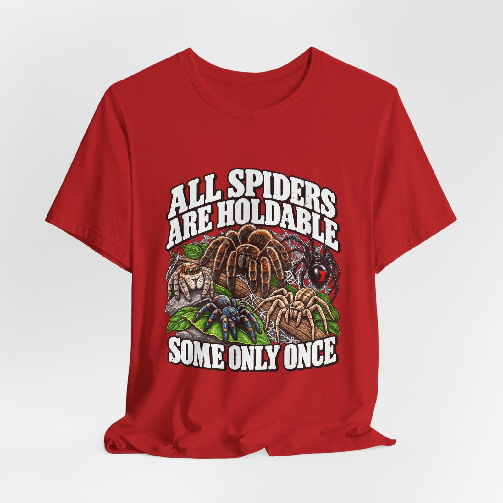 All Spiders Are Holdable Some Only Once Arachnid Humor - Image 32