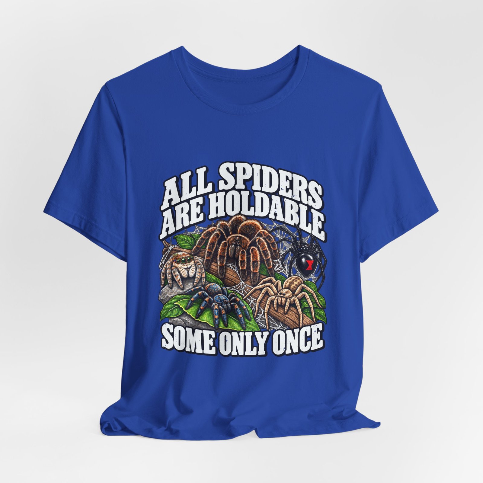 All Spiders Are Holdable Some Only Once Arachnid Humor - Image 20