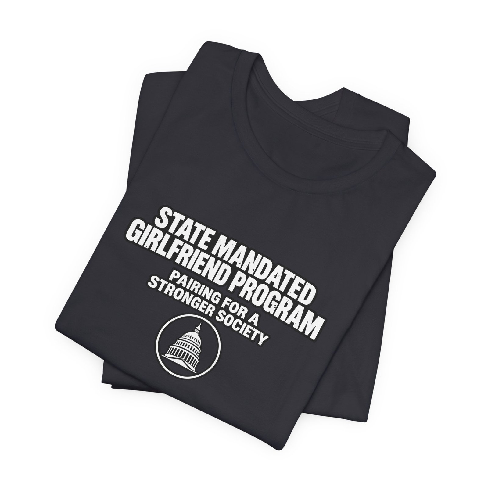 State Mandated Girlfriend Program Meme Graphic Tee - Image 11