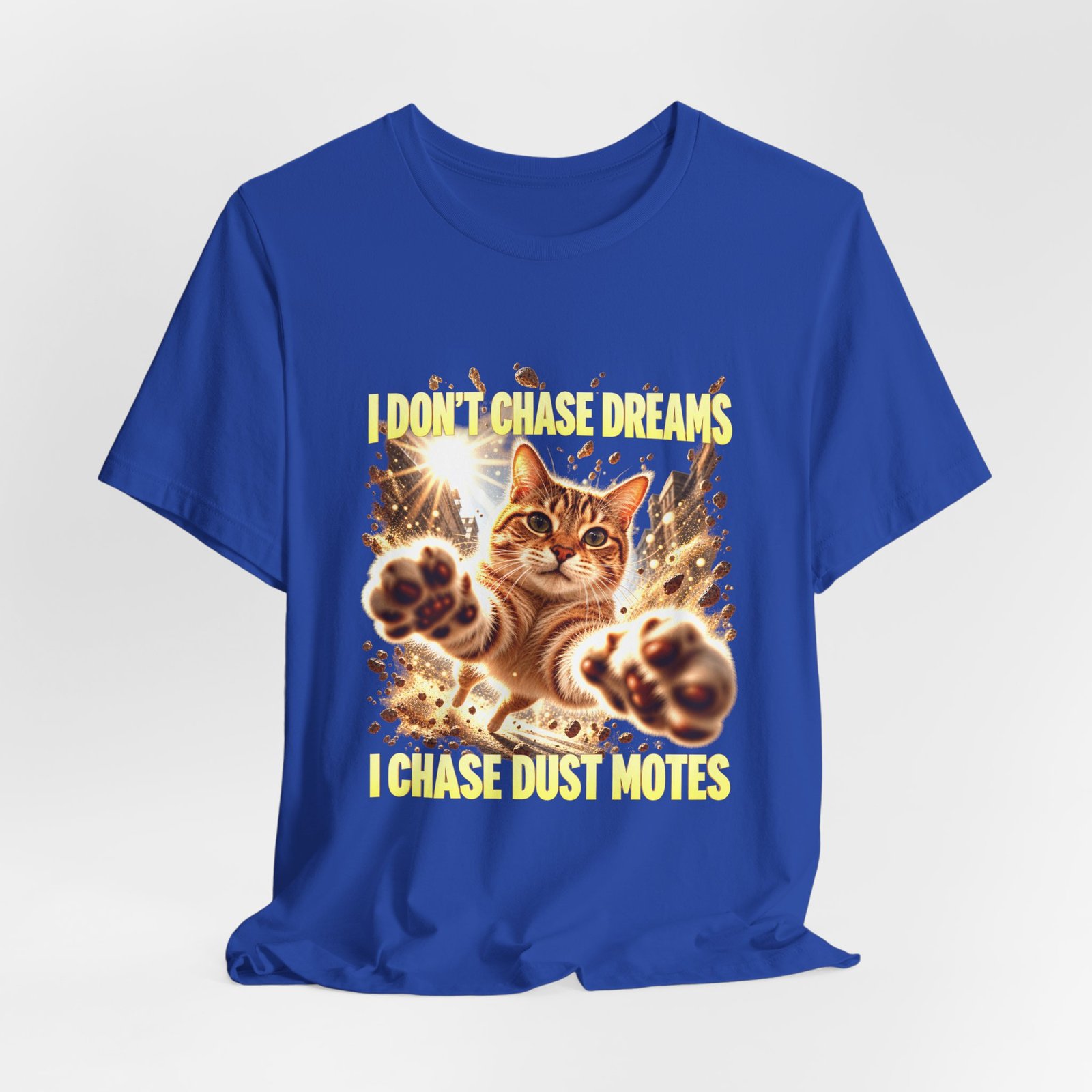 Funny Tabby Cat Chasing Dust Motes - Image 20