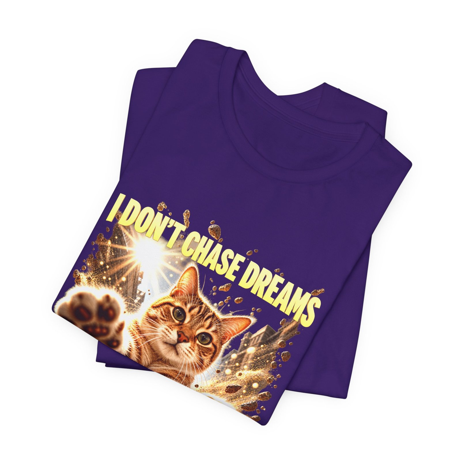 Funny Tabby Cat Chasing Dust Motes - Image 27