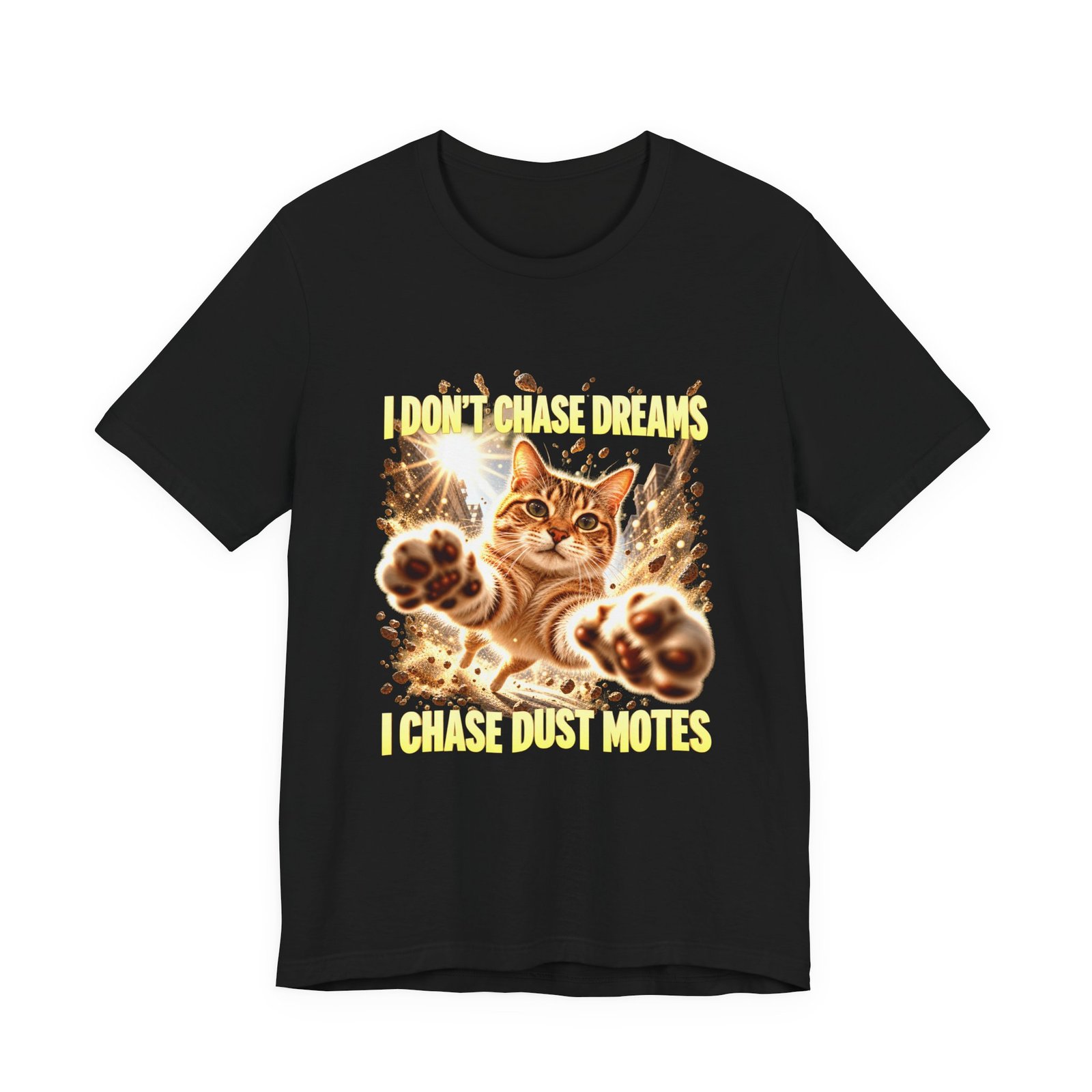 Funny Tabby Cat Chasing Dust Motes - Image 5