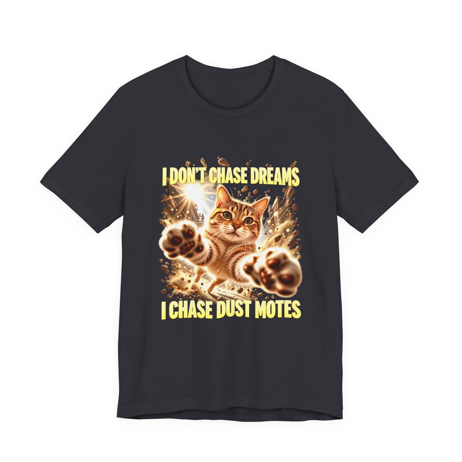 Funny Tabby Cat Chasing Dust Motes - Image 9
