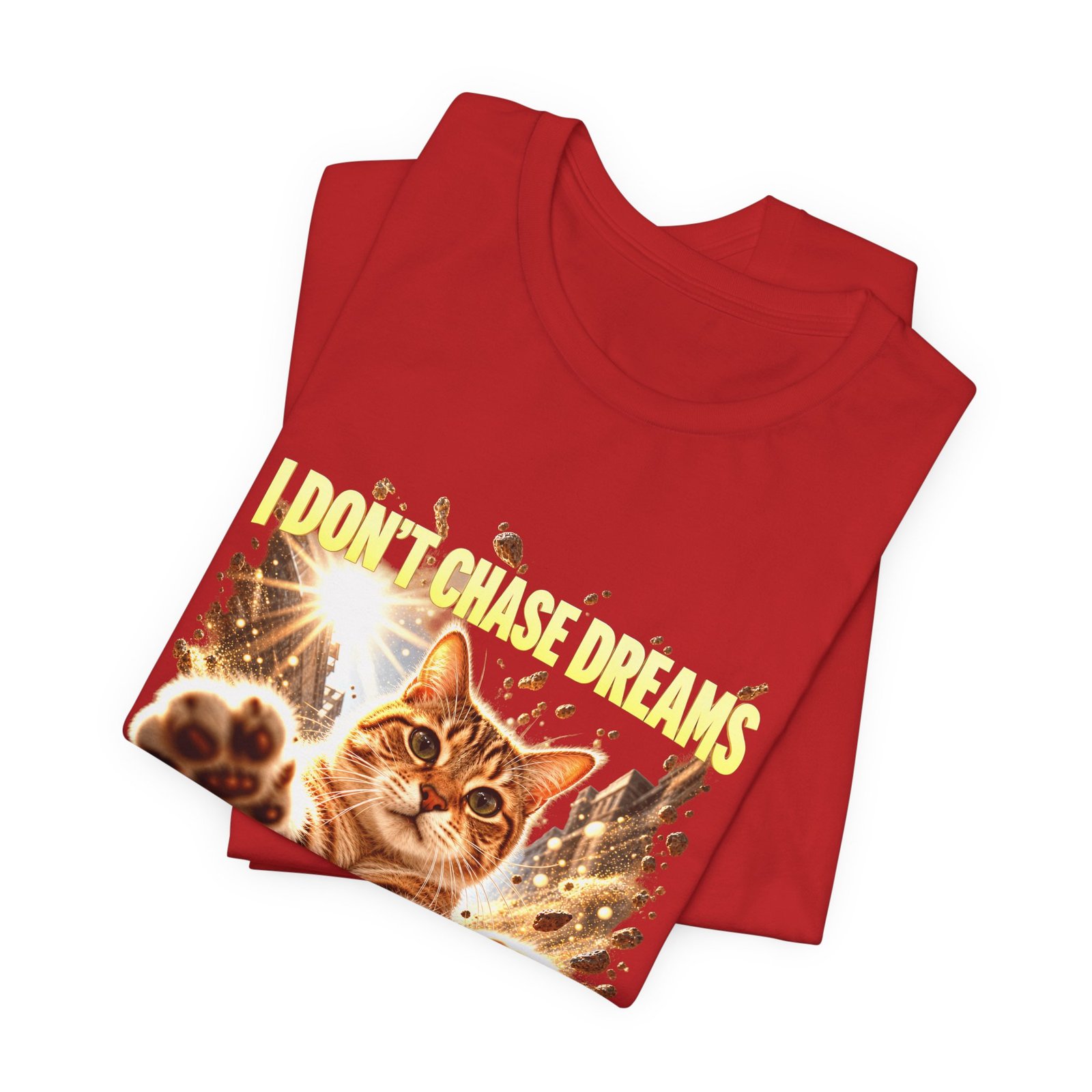 Funny Tabby Cat Chasing Dust Motes - Image 31