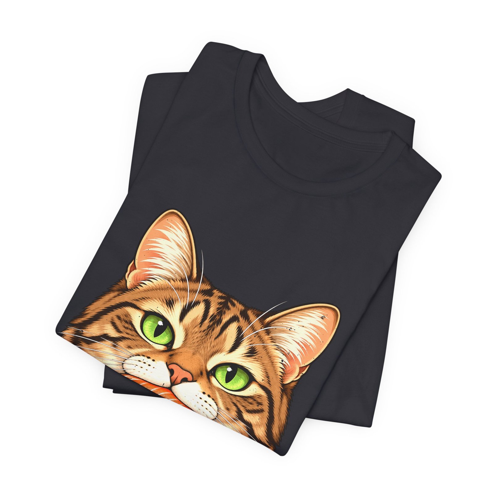 Tabby Cat With Salmon Nigiri - Image 23