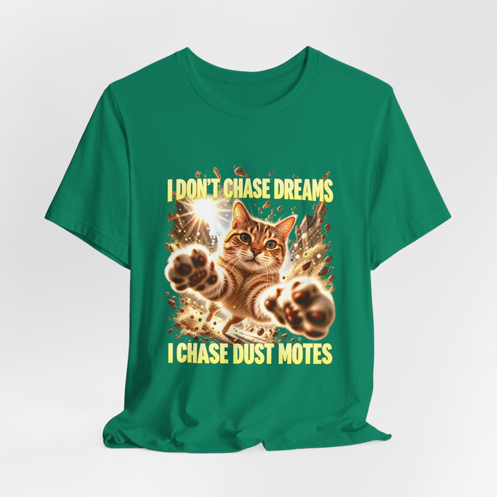 Funny Tabby Cat Chasing Dust Motes - Image 16