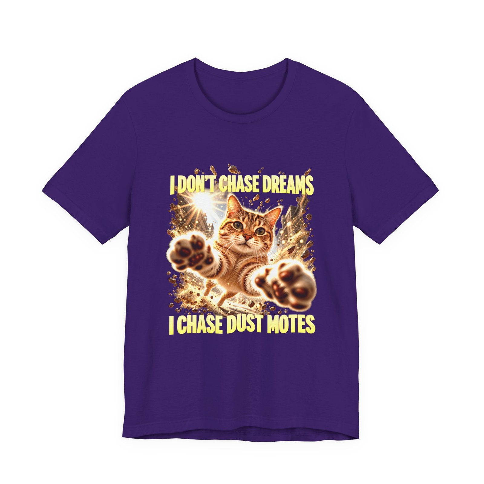 Funny Tabby Cat Chasing Dust Motes - Image 25