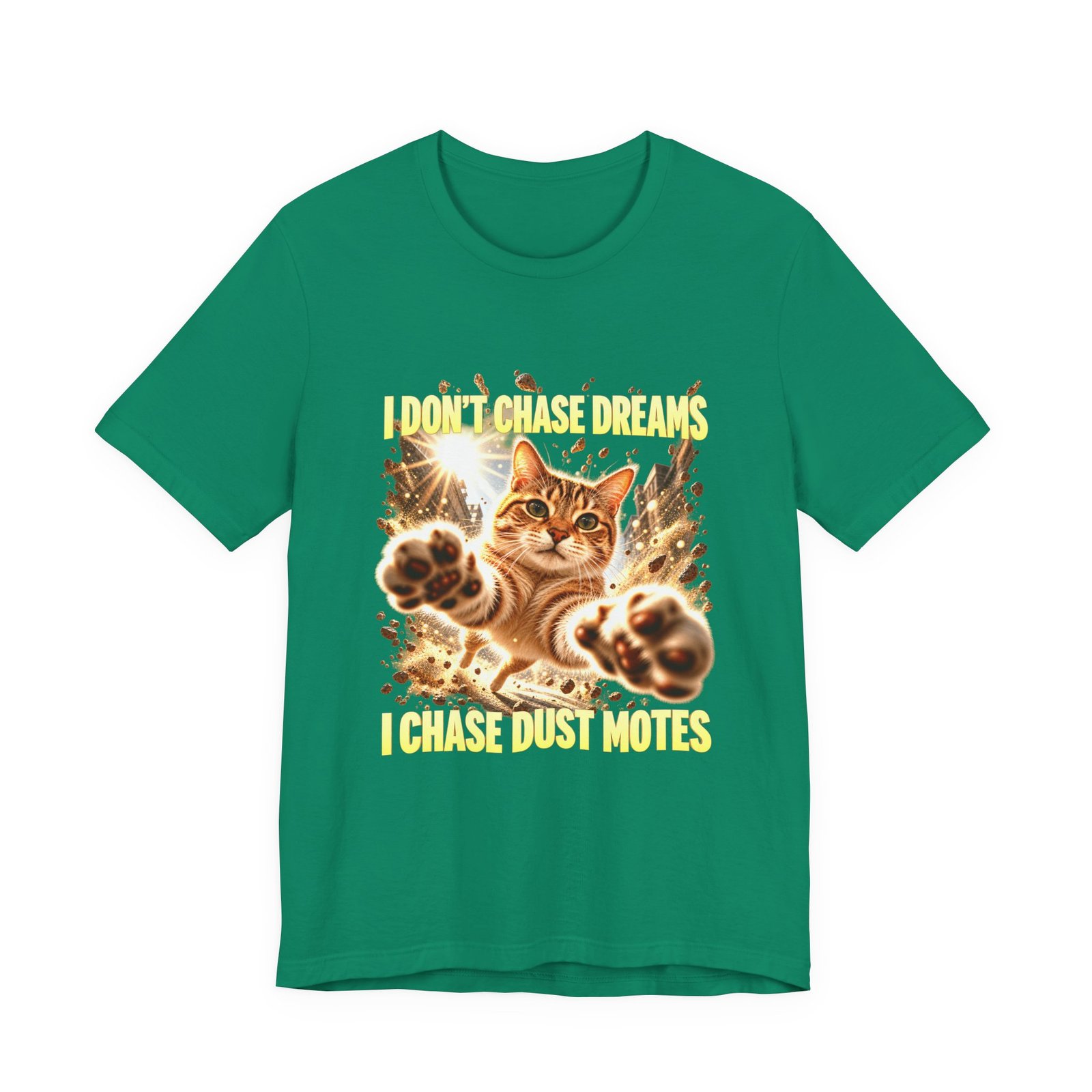 Funny Tabby Cat Chasing Dust Motes - Image 13