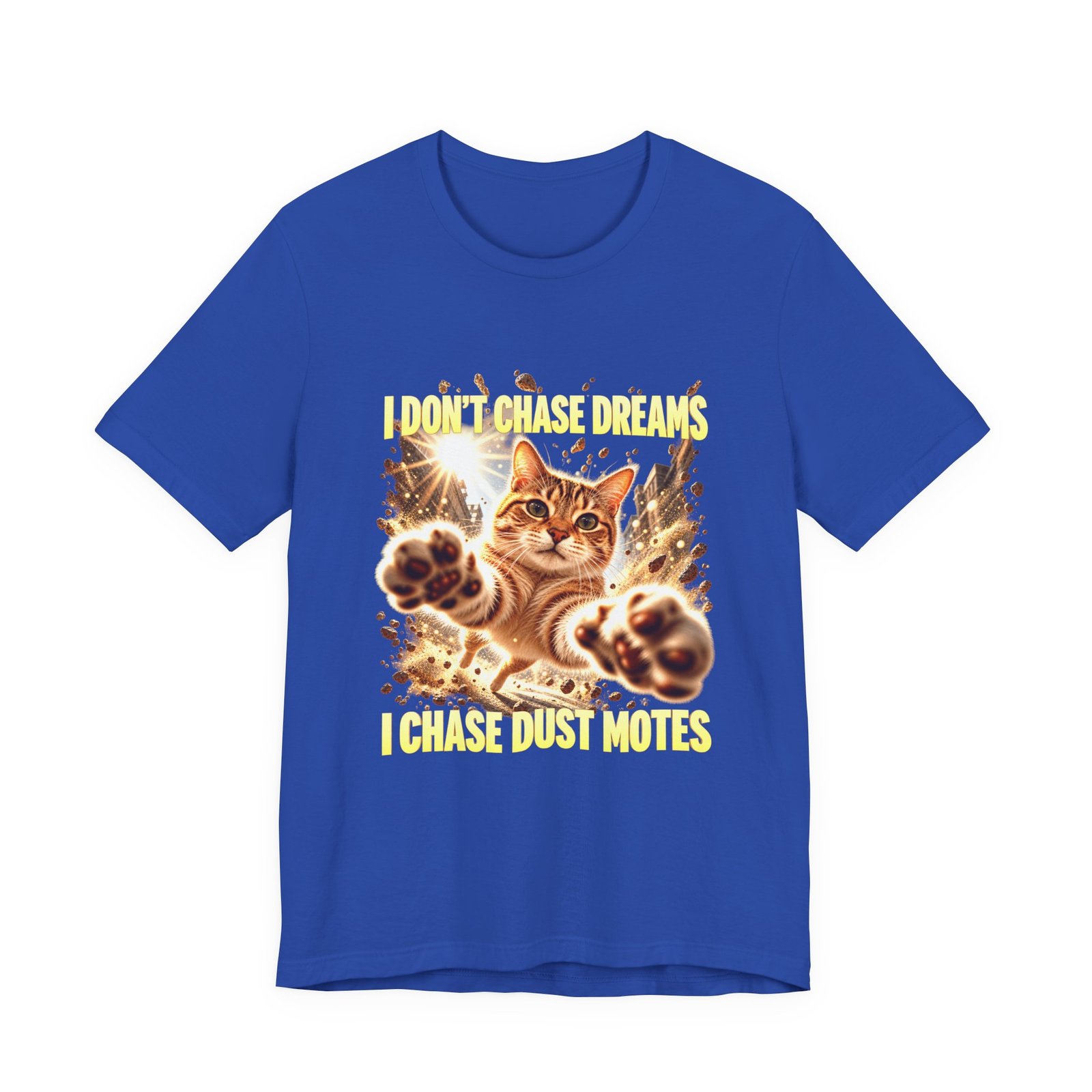 Funny Tabby Cat Chasing Dust Motes - Image 17