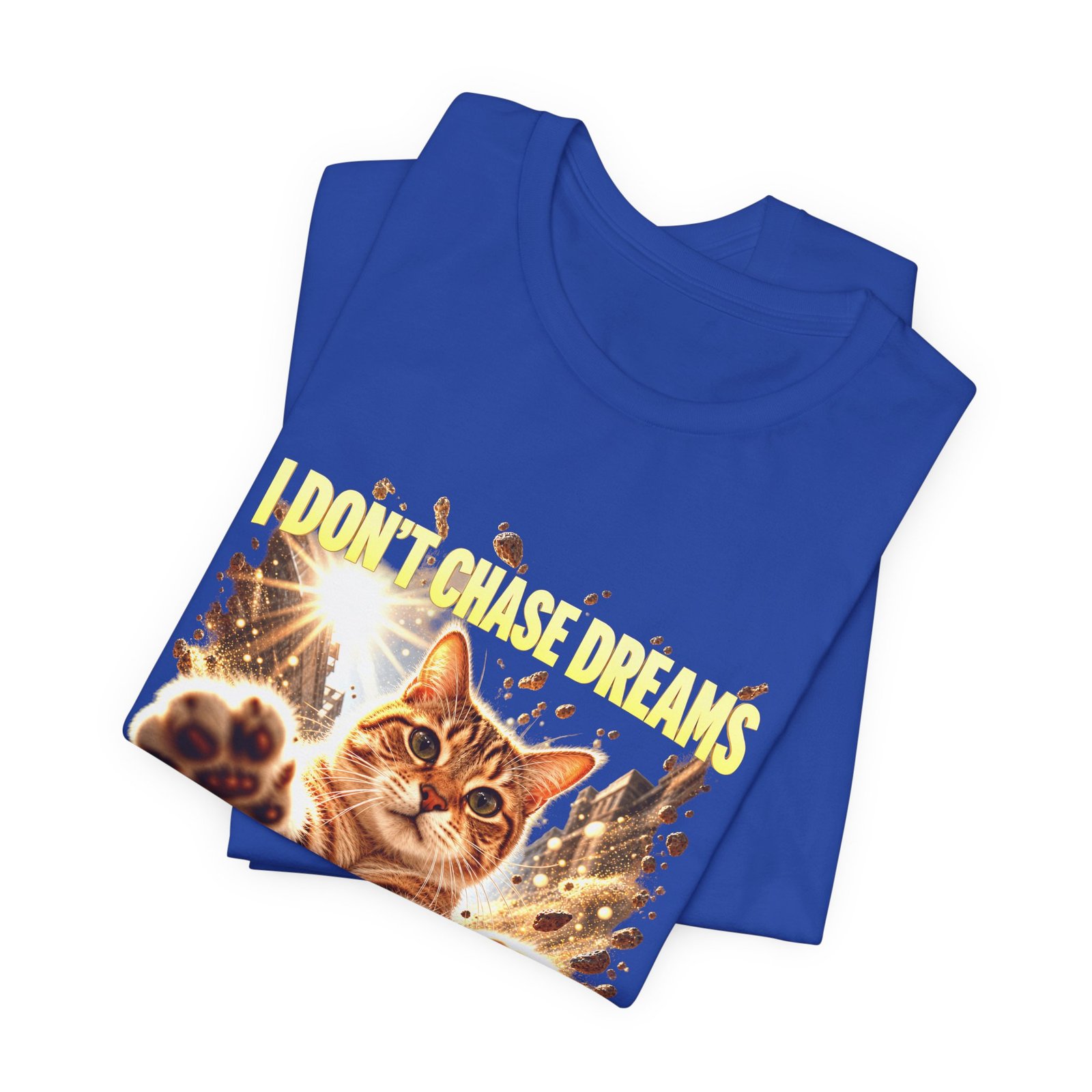 Funny Tabby Cat Chasing Dust Motes - Image 19