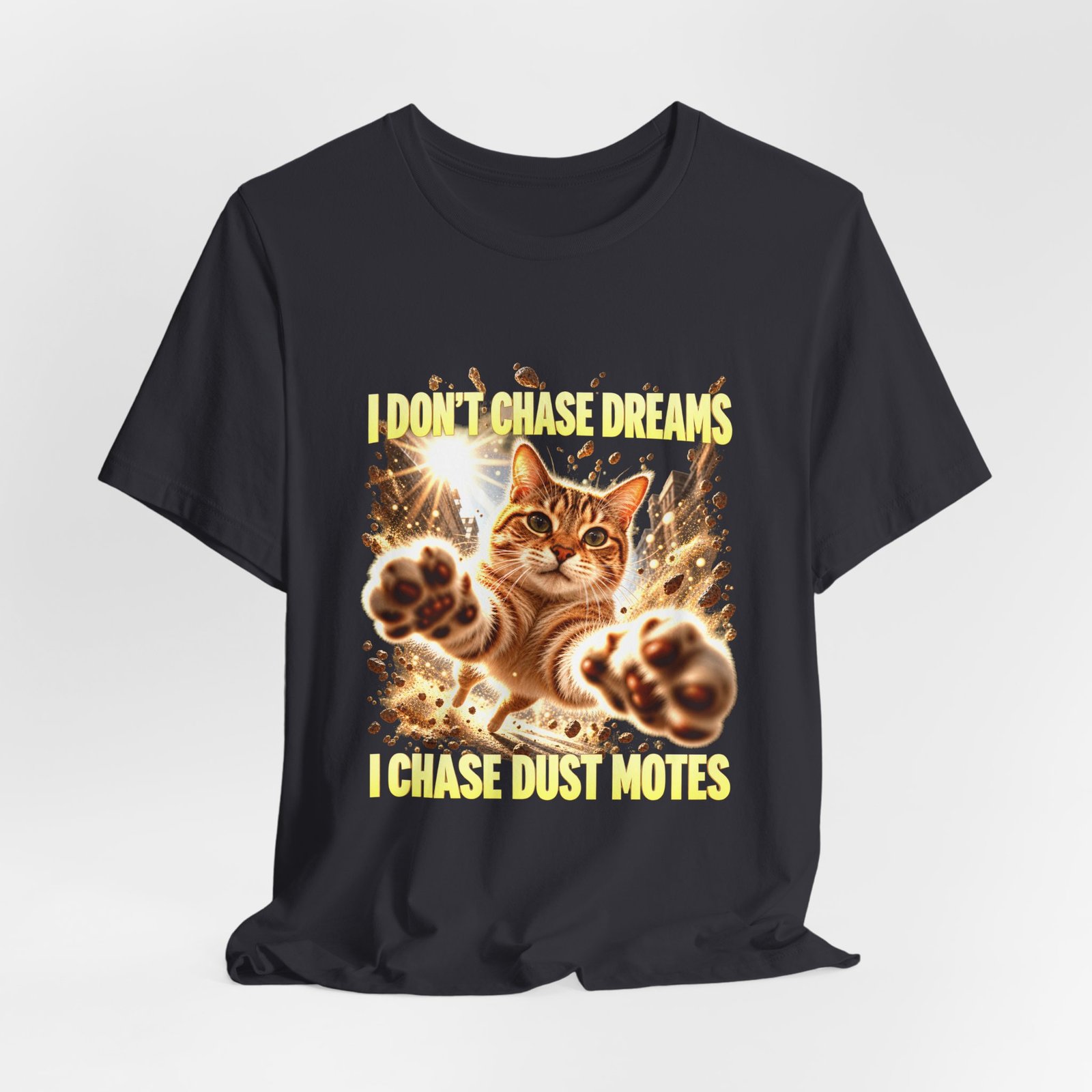 Funny Tabby Cat Chasing Dust Motes - Image 12