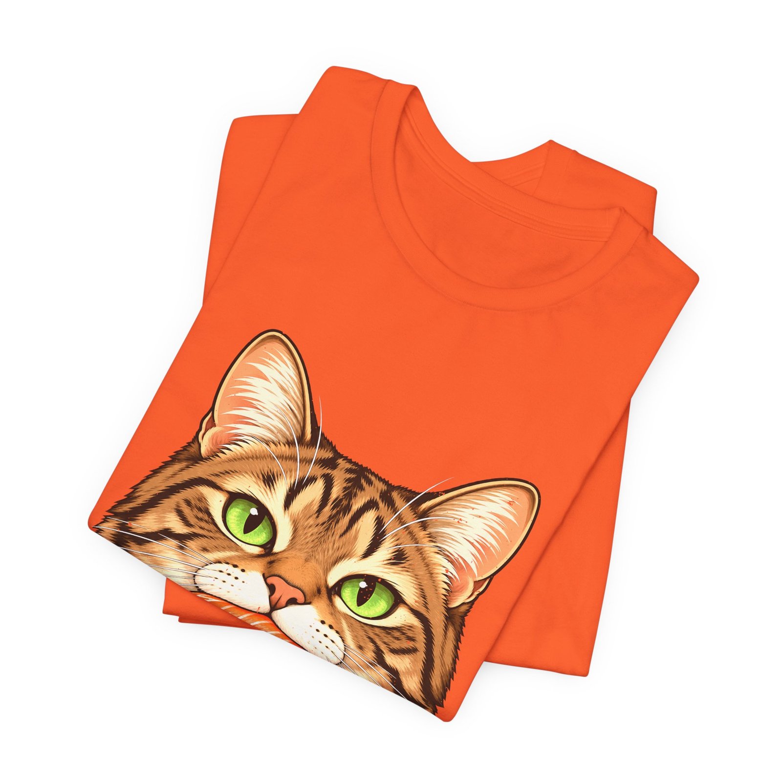 Tabby Cat With Salmon Nigiri - Image 7
