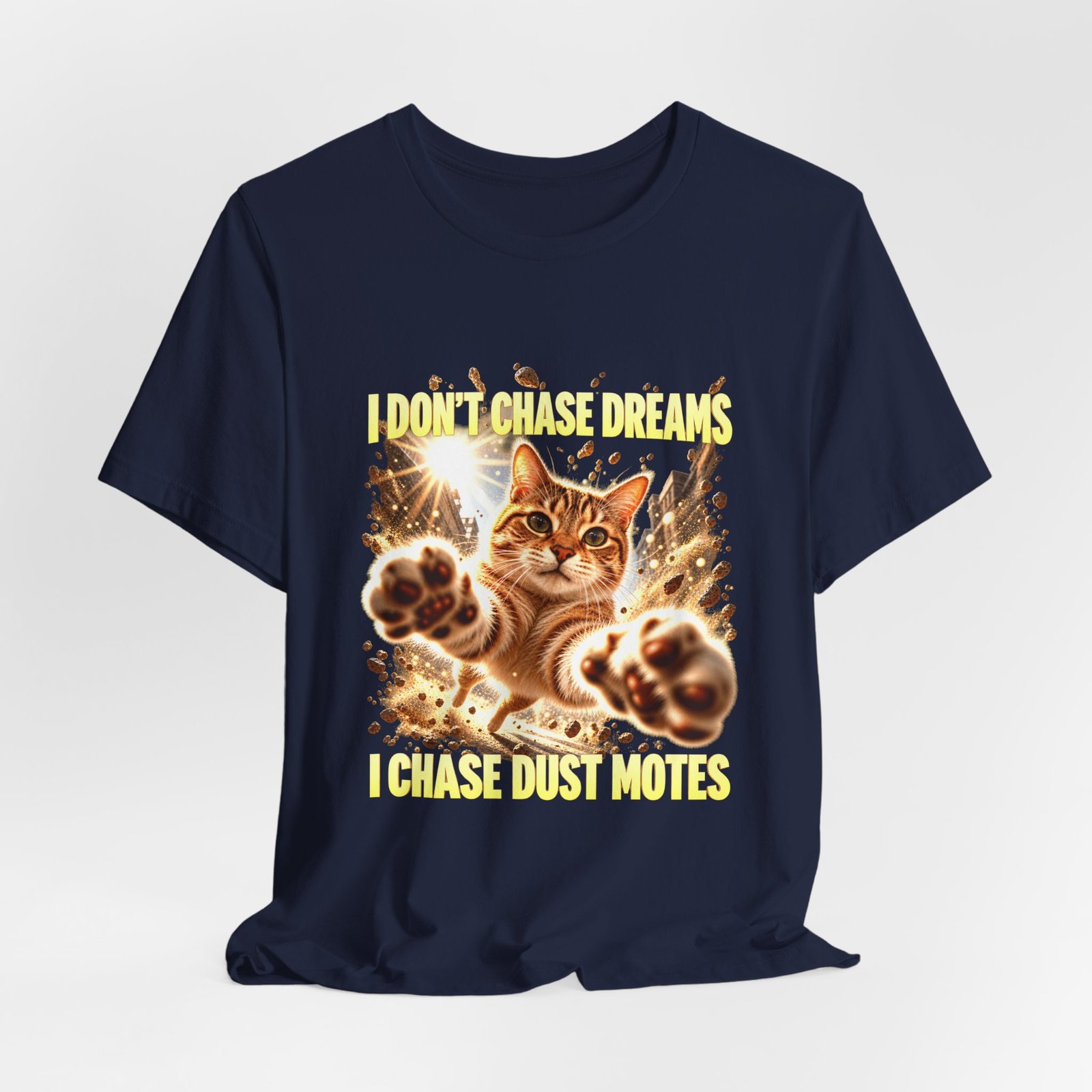Funny Tabby Cat Chasing Dust Motes - Image 24